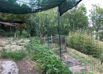 Foto 7 - Terreno edificabile Corso Repubblica, Camporosso - foto 7