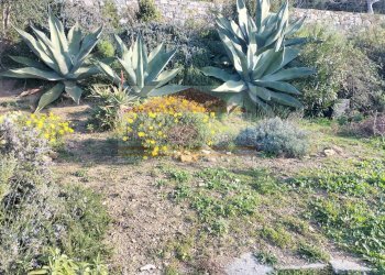 Foto 21 - Trilocale via Terrene Bianche
 
69, San Lorenzo al Mare - foto 21