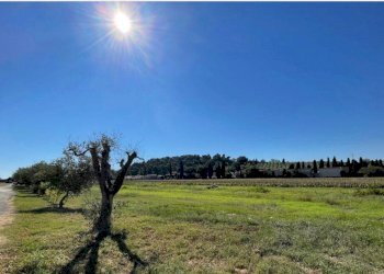 Foto 8 - Rustico via Scossicci, Porto Recanati - foto 8