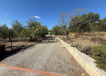 Giardino - Villa CONTRADA PIETRANEPITA, Grottole - foto 6