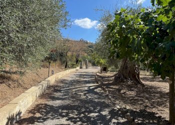 Vista delle montagne - Villa CONTRADA PIETRANEPITA, Grottole - foto 7