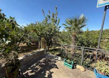 Giardino - Villa CONTRADA PIETRANEPITA, Grottole - foto 16