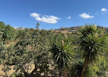 Edificio all\'aperto - Villa CONTRADA PIETRANEPITA, Grottole - foto 39