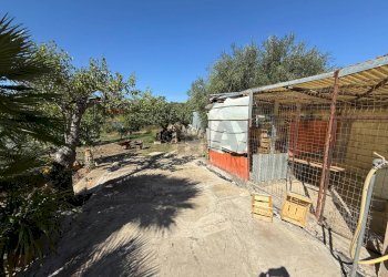 Terrazza - Villa CONTRADA PIETRANEPITA, Grottole - foto 43