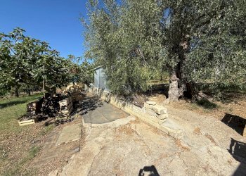 Giardino - Villa CONTRADA PIETRANEPITA, Grottole - foto 44