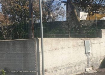 Non correlato - Terreno agricolo Via Del Frassino
 
snc, Belpasso - foto 2