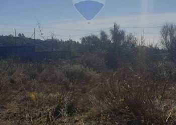 Non correlato - Terreno agricolo Via Del Frassino
 
snc, Belpasso - foto 3