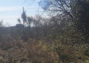 Vista delle montagne - Terreno agricolo Via Del Frassino
 
snc, Belpasso - foto 4