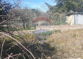 Giardino - Terreno agricolo Via Del Frassino
 
snc, Belpasso - foto 5