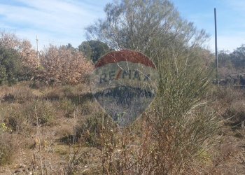 Non correlato - Terreno agricolo Via Del Frassino
 
snc, Belpasso - foto 7