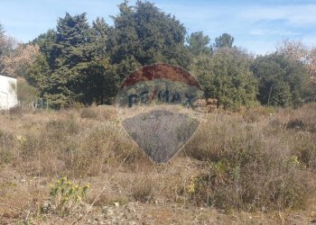 Vista delle montagne - Terreno agricolo Via Del Frassino
 
snc, Belpasso - foto 8