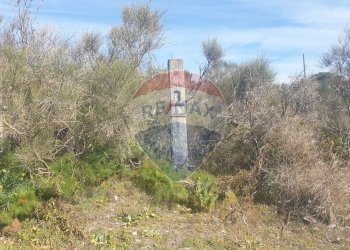 Non correlato - Terreno agricolo Via Del Frassino
 
snc, Belpasso - foto 10
