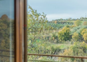 Dettagli - Quadrilocale Via Giuseppe Botarelli
 
25, Ischia di Castro - foto 19