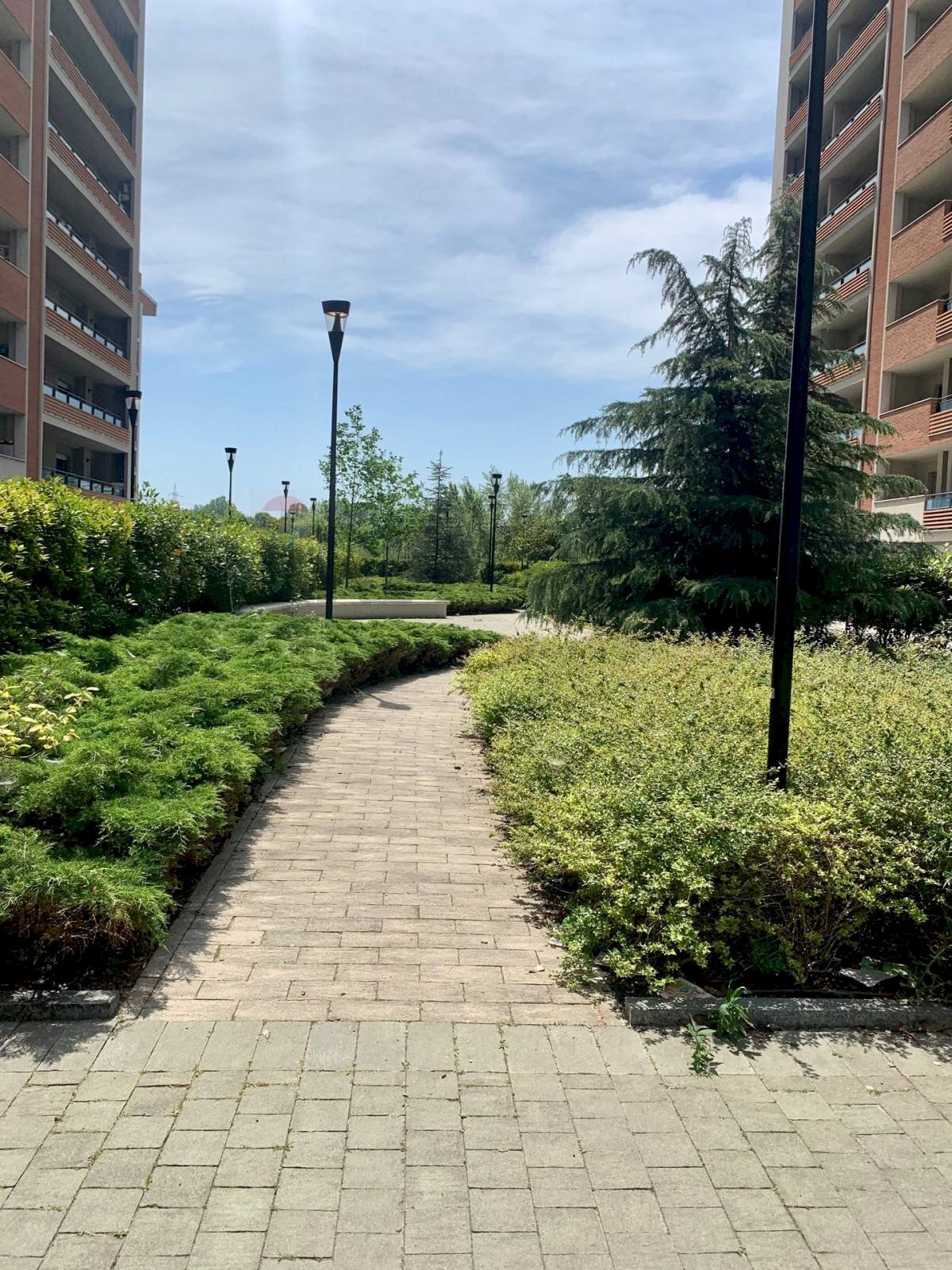 Giardino - Trilocale Sesto San Giovanni - foto 2