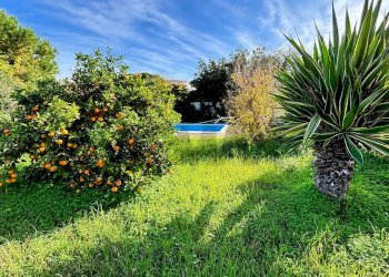 Giardino - Villa PASSAGGIO S.7
 
4, Palermo - foto 18
