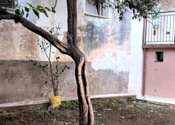 Foto 4 - Casa indipendente Via Tito Lucrezio Caro
 
18, Nocera Inferiore - foto 4