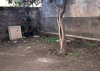 Foto 6 - Casa indipendente Via Tito Lucrezio Caro
 
18, Nocera Inferiore - foto 6