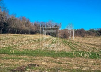 Foto 18 - Casa semi indipendente Strada Pozzolengo, Ponti sul Mincio - foto 17