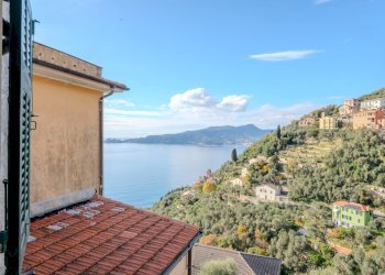 Foto 2 - Rustico Scalinata Montà
 
3A, Zoagli - foto 2