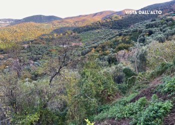 VISTA PANORAMICA - Rustic LOC. BRACCIO DI SCARLINO
 
SNC, Scarlino - photo 4