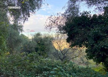 TERRENO - Rustic LOC. BRACCIO DI SCARLINO
 
SNC, Scarlino - photo 7