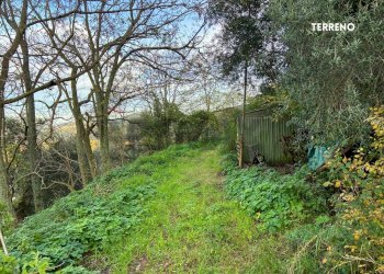 STRADA DI ACCESSO - Rustic LOC. BRACCIO DI SCARLINO
 
SNC, Scarlino - photo 9