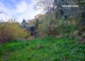 Giardino - Rustic LOC. BRACCIO DI SCARLINO
 
SNC, Scarlino - photo 10