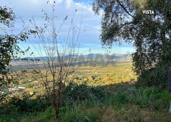 VISTA PANORAMICA - Rustic LOC. BRACCIO DI SCARLINO
 
SNC, Scarlino - photo 11