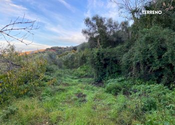 STRADA DI ACCESSO - Rustic LOC. BRACCIO DI SCARLINO
 
SNC, Scarlino - photo 16