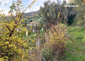 FONDAMENTA - Rustic LOC. BRACCIO DI SCARLINO
 
SNC, Scarlino - photo 21