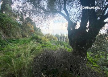 Giardino - Rustic LOC. BRACCIO DI SCARLINO
 
SNC, Scarlino - photo 24