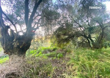 VISTA SUL VERDE - Rustic LOC. BRACCIO DI SCARLINO
 
SNC, Scarlino - photo 25
