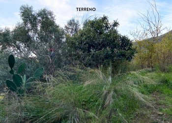 Giardino - Rustic LOC. BRACCIO DI SCARLINO
 
SNC, Scarlino - photo 26