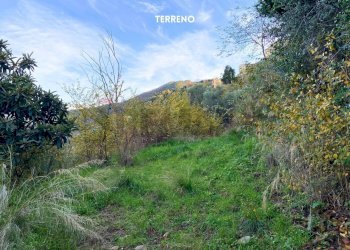 STRADA DI ACCESSO - Rustic LOC. BRACCIO DI SCARLINO
 
SNC, Scarlino - photo 28