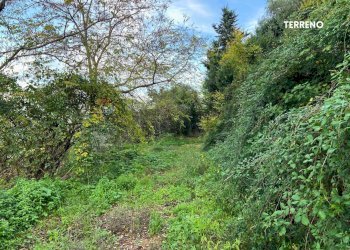 Giardino - Rustic LOC. BRACCIO DI SCARLINO
 
SNC, Scarlino - photo 29