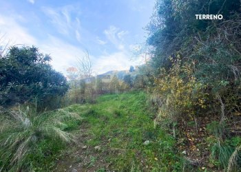 STRADA DI ACCESSO - Rustic LOC. BRACCIO DI SCARLINO
 
SNC, Scarlino - photo 30