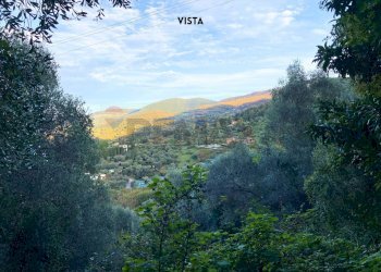 Vista delle montagne - Rustic LOC. BRACCIO DI SCARLINO
 
SNC, Scarlino - photo 31