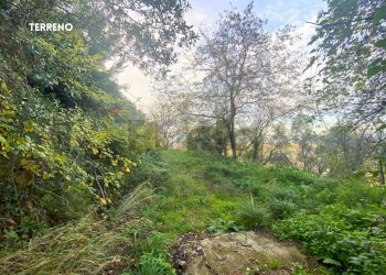 STRADA DI ACCESSO - Rustic LOC. BRACCIO DI SCARLINO
 
SNC, Scarlino - photo 32