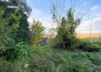 Giardino - Rustic LOC. BRACCIO DI SCARLINO
 
SNC, Scarlino - photo 34