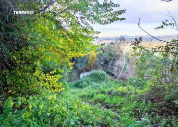 Giardino - Rustic LOC. BRACCIO DI SCARLINO
 
SNC, Scarlino - photo 35
