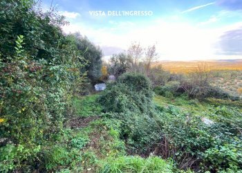 Giardino - Rustic LOC. BRACCIO DI SCARLINO
 
SNC, Scarlino - photo 36