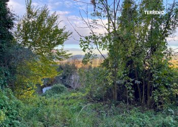 Giardino - Rustic LOC. BRACCIO DI SCARLINO
 
SNC, Scarlino - photo 37