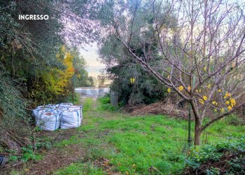 INGRESSO - Rustic LOC. BRACCIO DI SCARLINO
 
SNC, Scarlino - photo 38