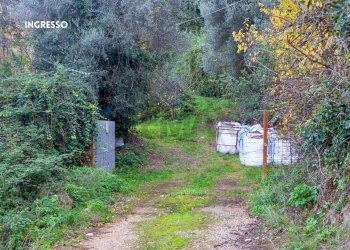 INGRESSO - Rustic LOC. BRACCIO DI SCARLINO
 
SNC, Scarlino - photo 39