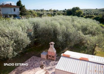 GIARDINO CON ULIVI - Casa semi indipendente VIA DELLA COLLACCHIA
 
61, Roccastrada - foto 37