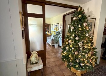 Foto 3 - Villa Strada Comunale Pozzo dei Cani, Putignano - foto 3