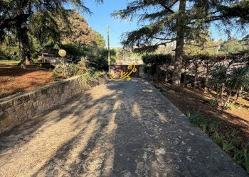 Foto 4 - Villa Strada Comunale Pozzo dei Cani, Putignano - foto 4