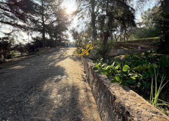 Foto 5 - Villa Strada Comunale Pozzo dei Cani, Putignano - foto 5