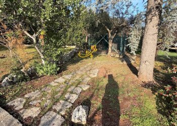 Foto 8 - Villa Strada Comunale Pozzo dei Cani, Putignano - foto 8