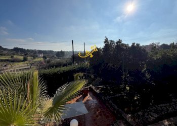 Foto 37 - Villa Strada Comunale Pozzo dei Cani, Putignano - foto 37